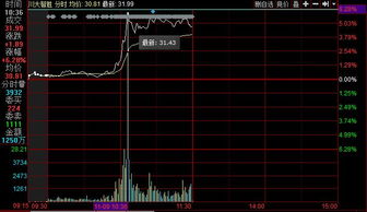 川大智胜股价异动背后的互联网销售热潮与加拿大移民局官网崩溃的关联解析